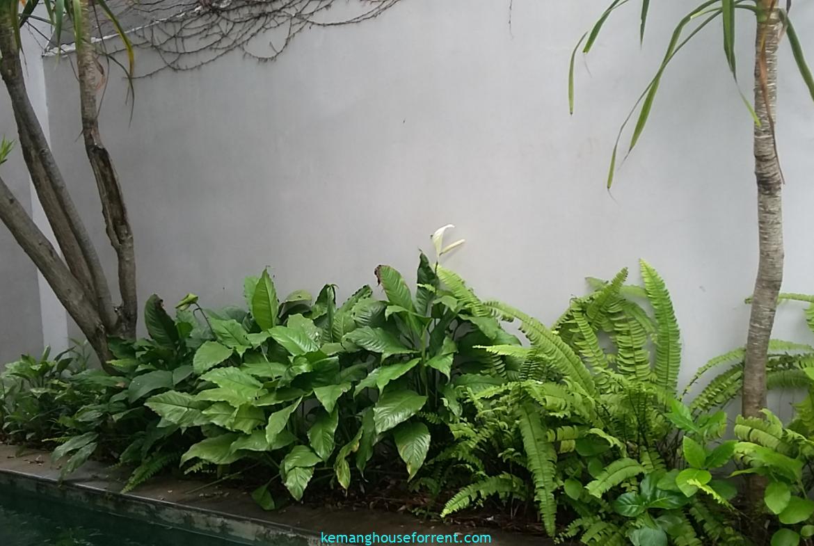 Kemang Dalam House For Rent