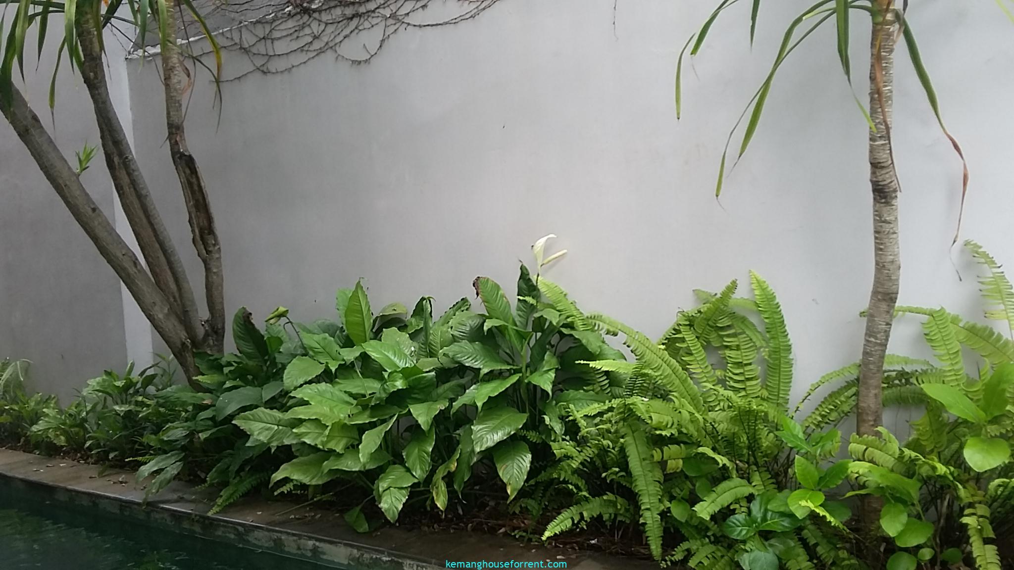 Kemang Dalam House For Rent