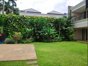 House For Rent Cipete Jakarta