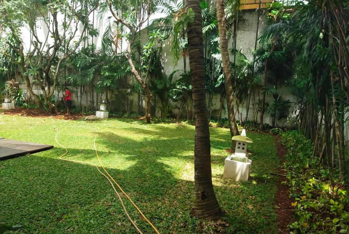Rent House In Kemang Dalam