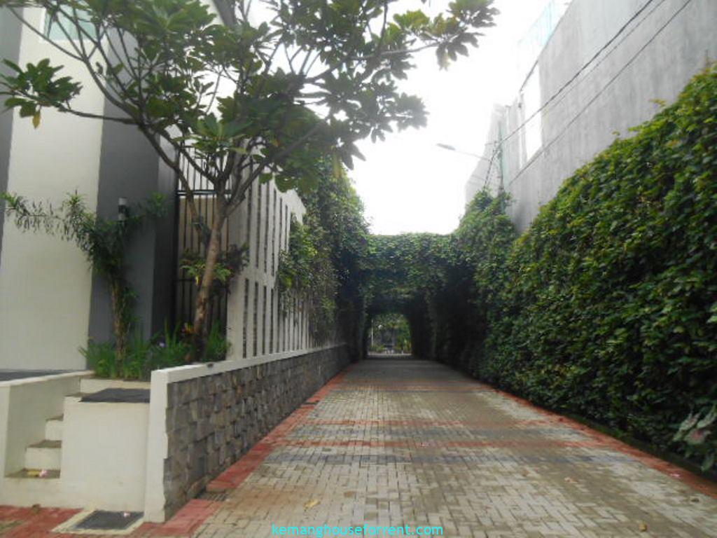 Compound To Rent Kemang Area