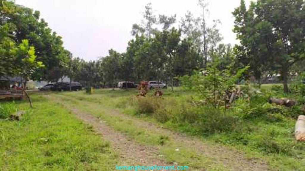 Jual Tanah Murah di Cilember