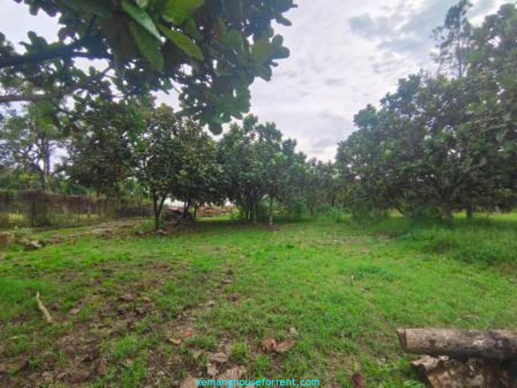 Jual Tanah Murah di Cilember