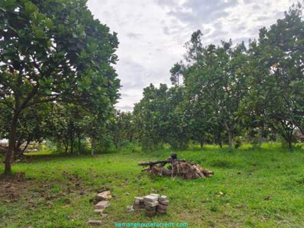 Jual Tanah Murah di Cilember