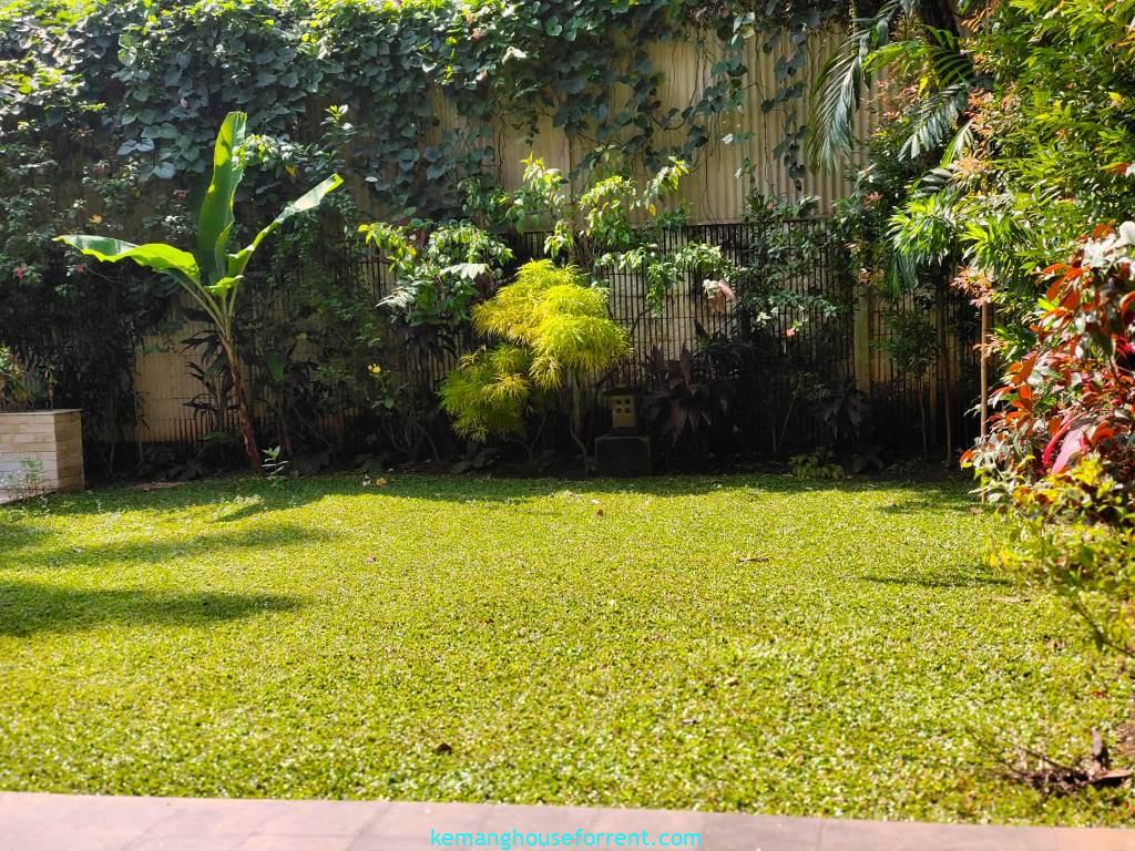 Compound for rent in pejaten barat