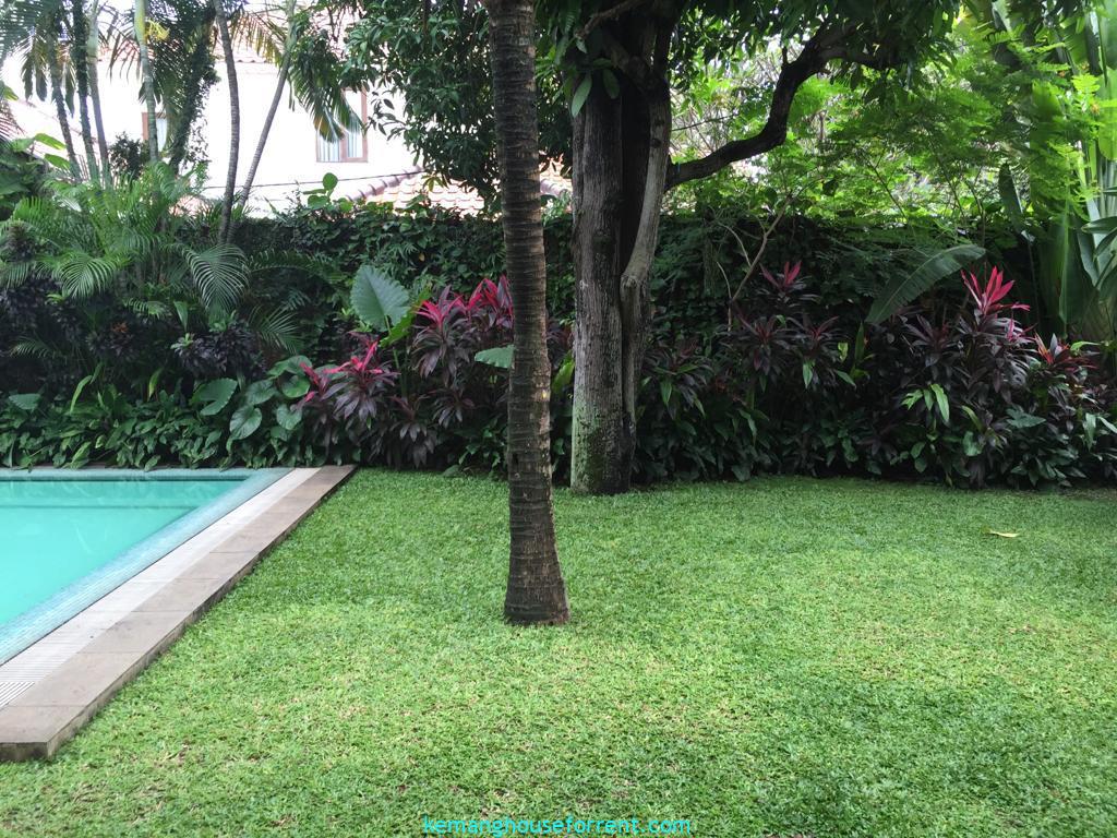 Rental House In Kemang Timur