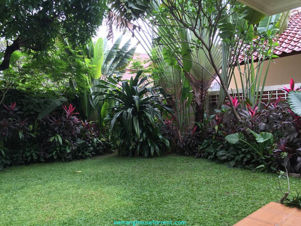 Rental House In Kemang Timur