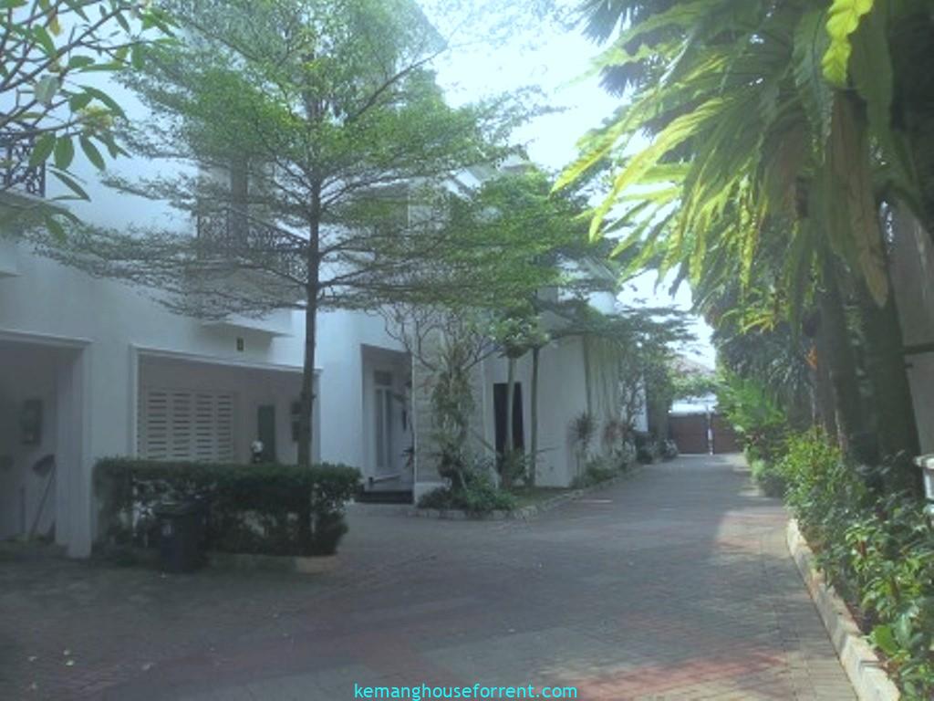 House In Pondok Indah For Rent