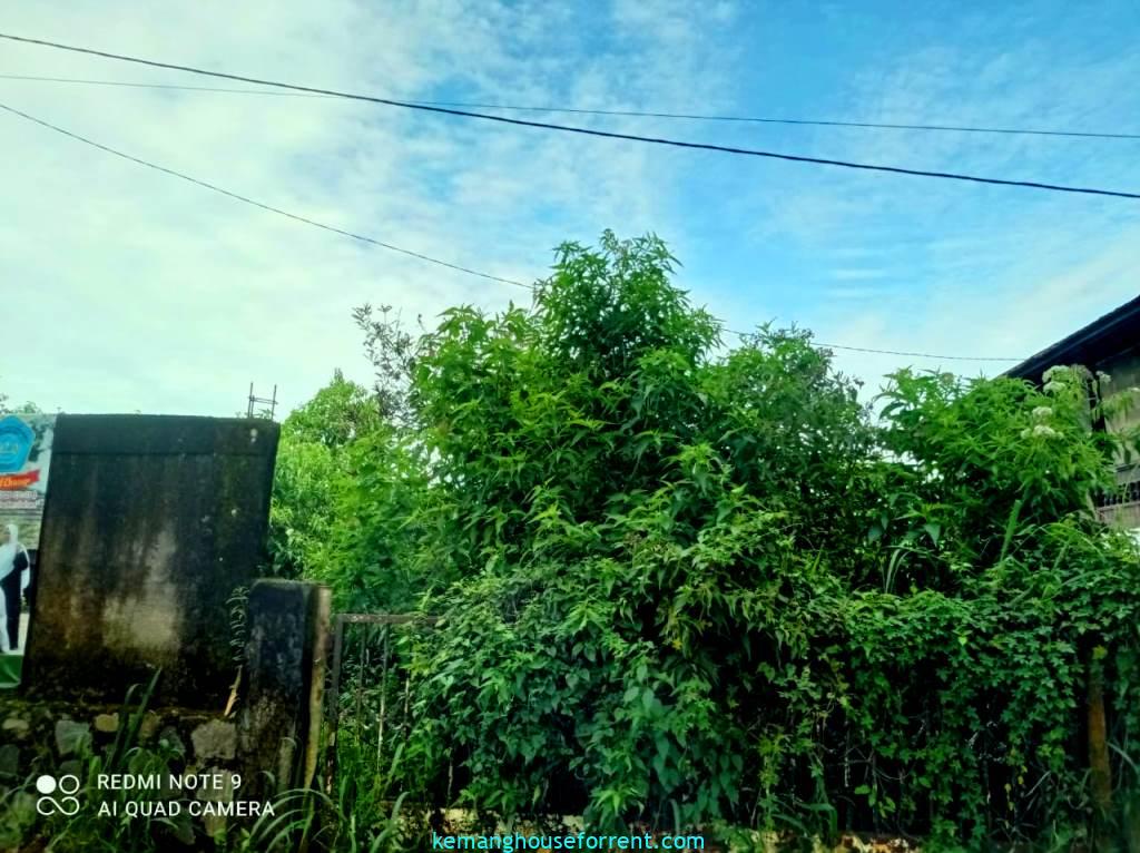 jual tanah puncak bogor