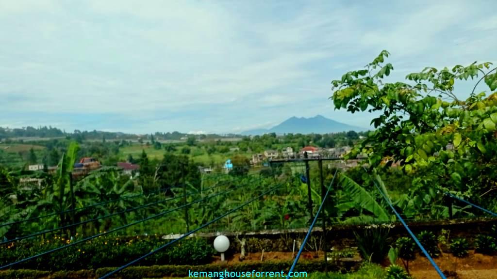 jual tanah puncak bogor