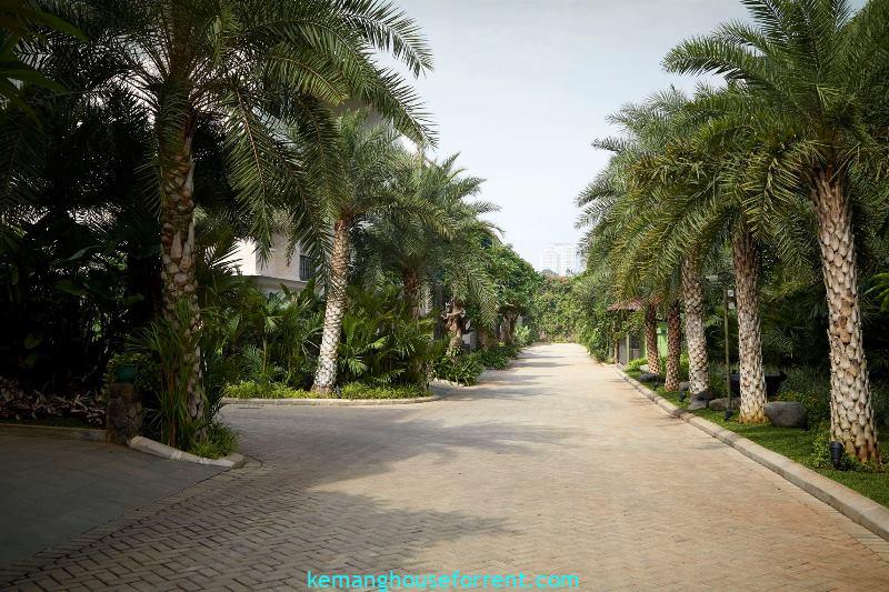 Luxury Townhouse South Jakarta