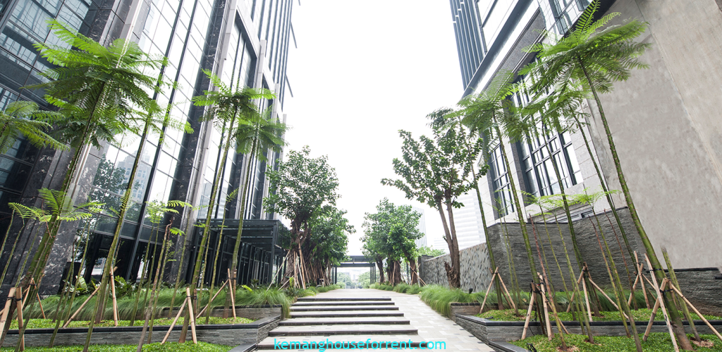Luxury Living SCBD District 8