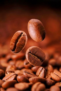 Indonesian Coffee Beans Types