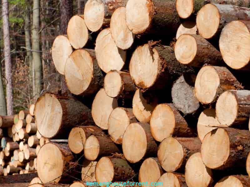 1 ton kayu berapa batang