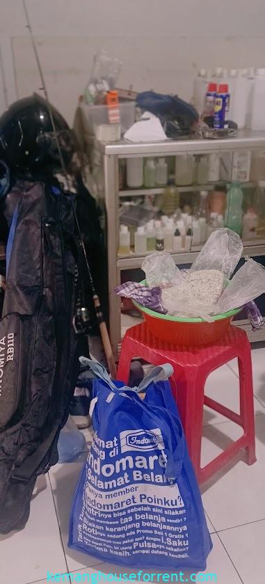 umpan putih ikan mas dijamin nyentak terus
