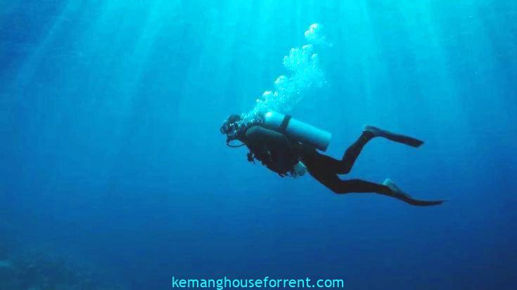Bali Diving Secrets