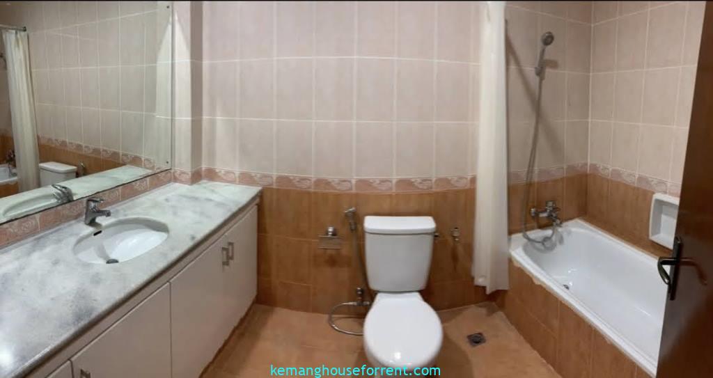 2-BR Apartment Sinabung Mansion