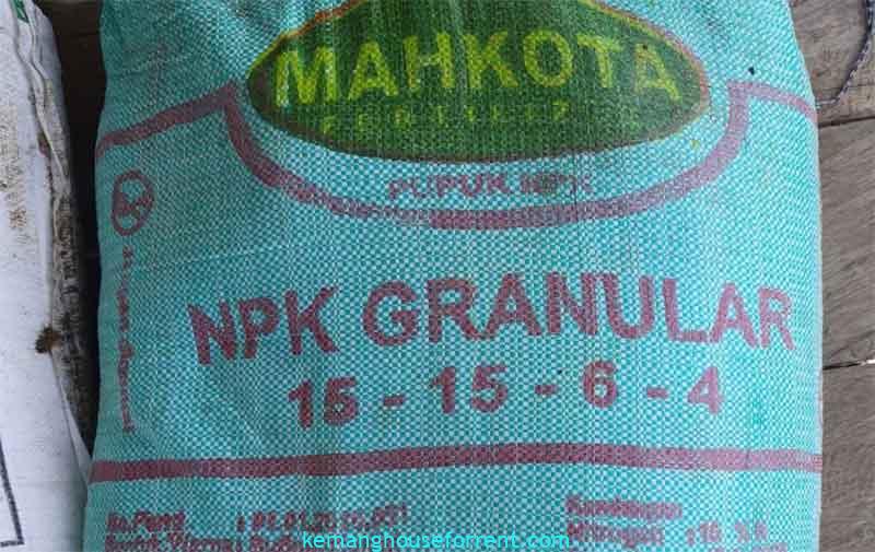 manfaat pupuk npk granular untuk kelapa sawit