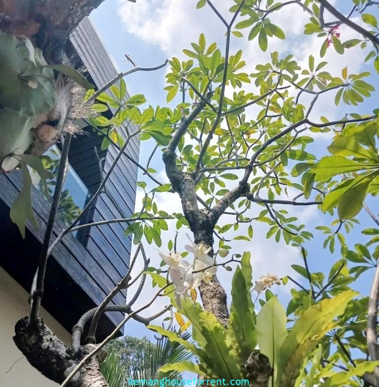 Casavilla Kemang Townhouse for rent 3-BR
