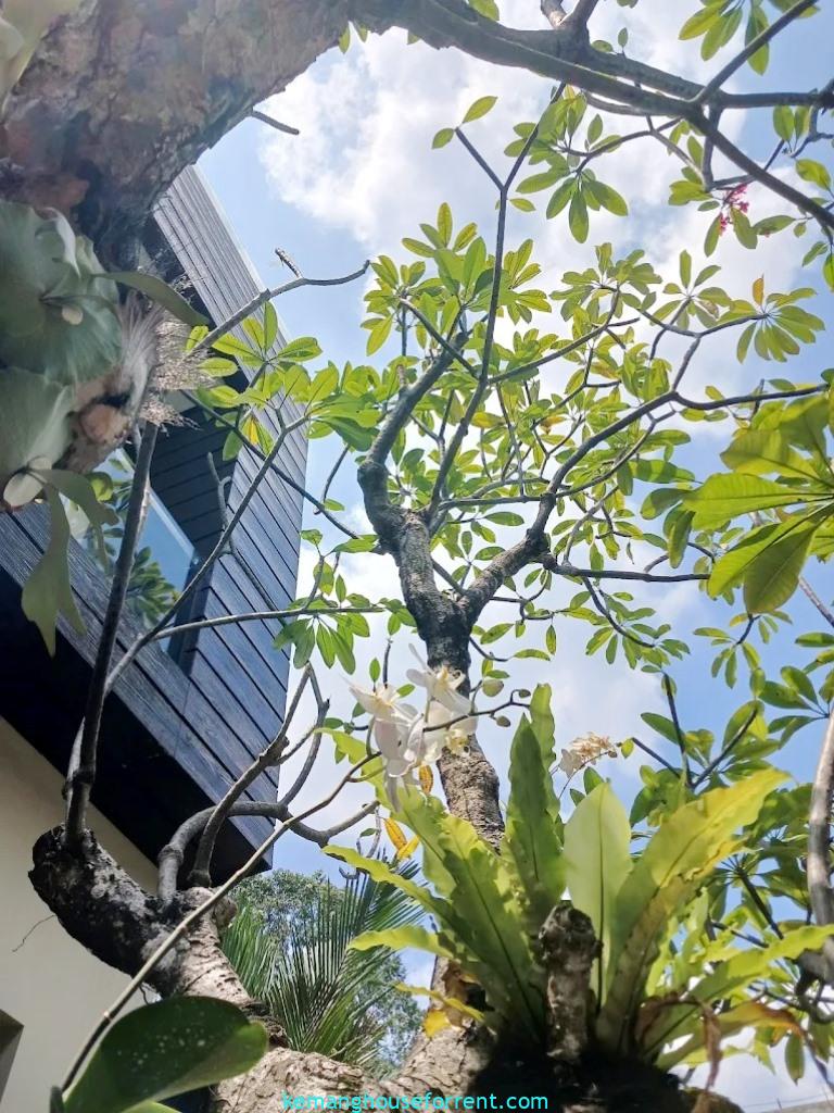 Casavilla Kemang Townhouse for rent 3-BR