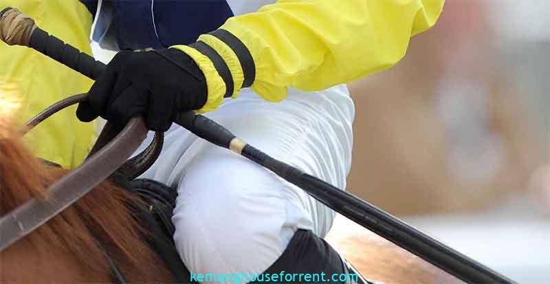 horse whip replacement tips