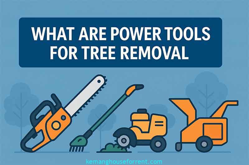 what are power tools or tree removal