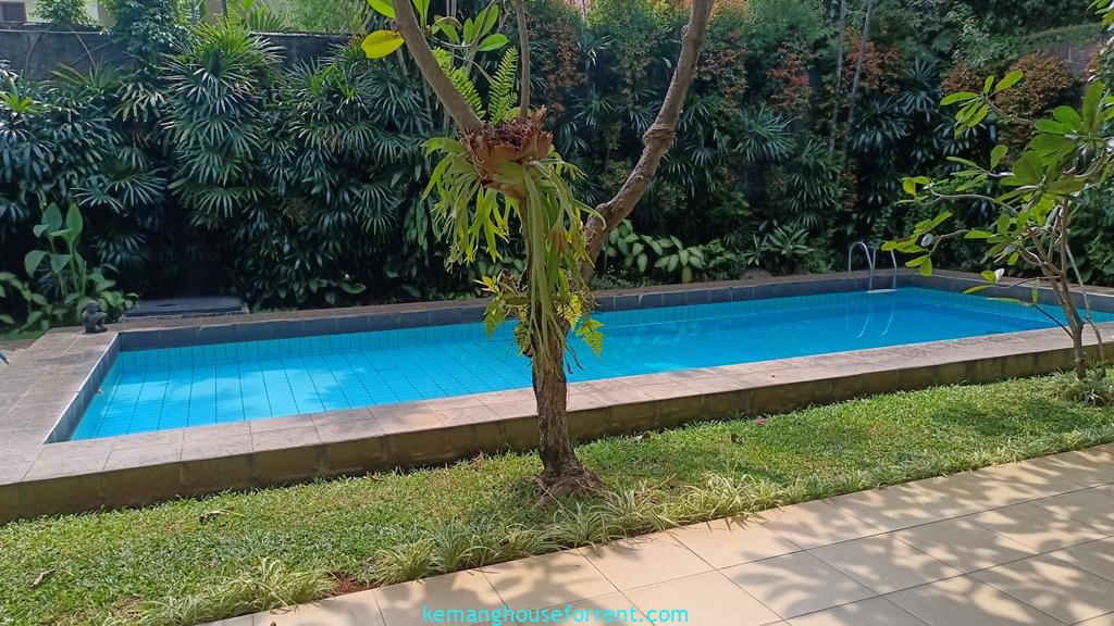 House for Rent in Kemang Dalam with Pool