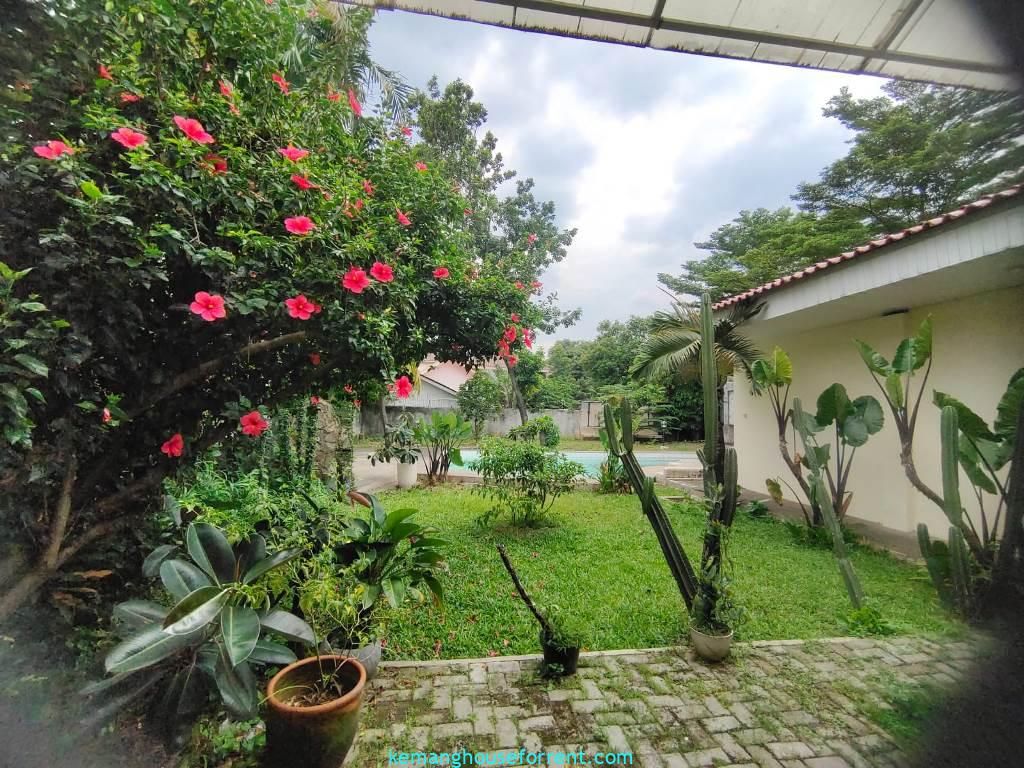 Commercial House for Rent in Kemang
