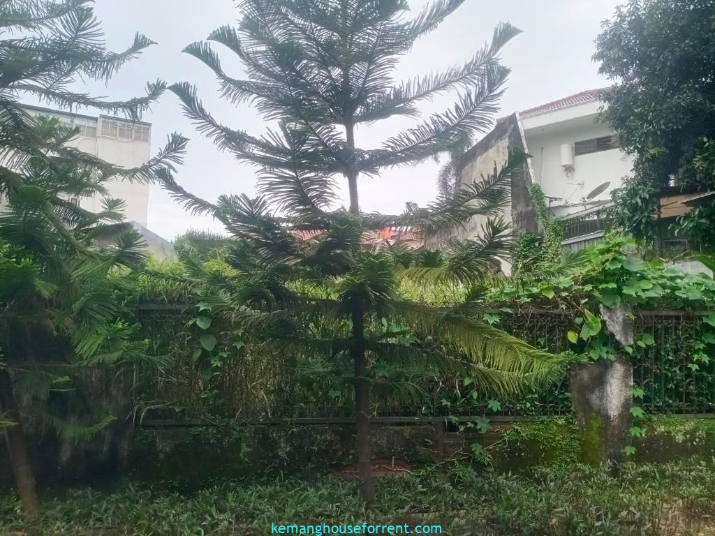 Tanah Dijual Kemang Timur