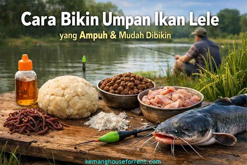 cara bikin umpan ikan lele