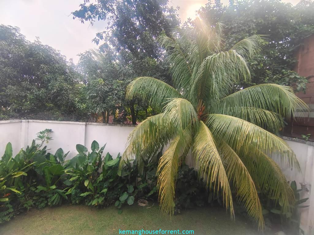 Compound House for Rent in Kemang South Jakarta