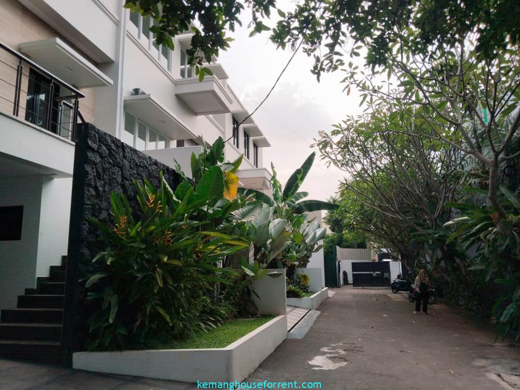 Modern Style House for Rent in Kemang