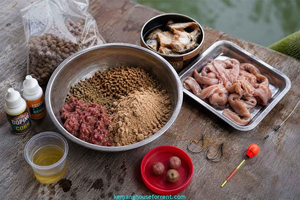 umpan mancing ikan bawal di kolam