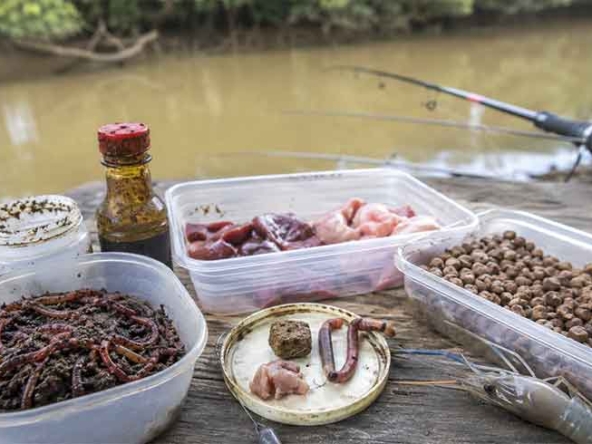 umpan mancing udang galah