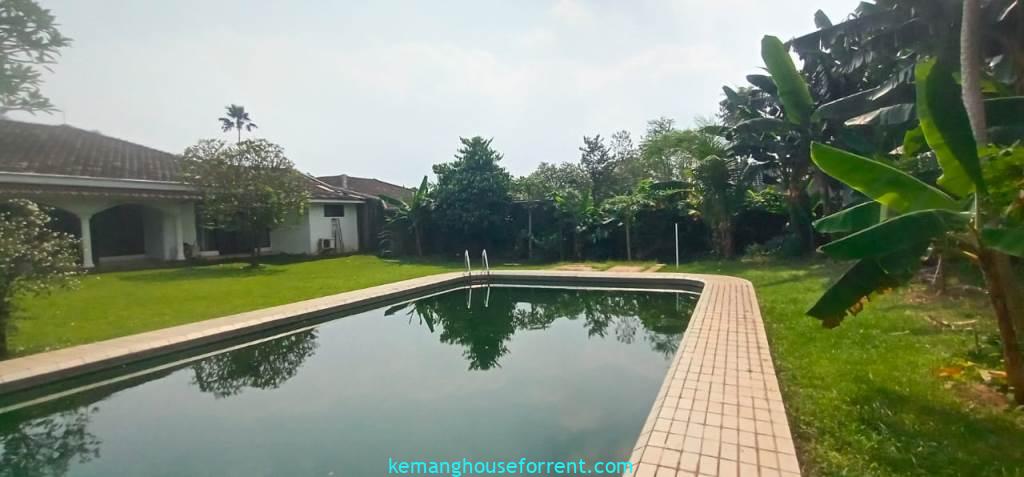 Disewakan Rumah Kemang Cocok Untuk Kantor