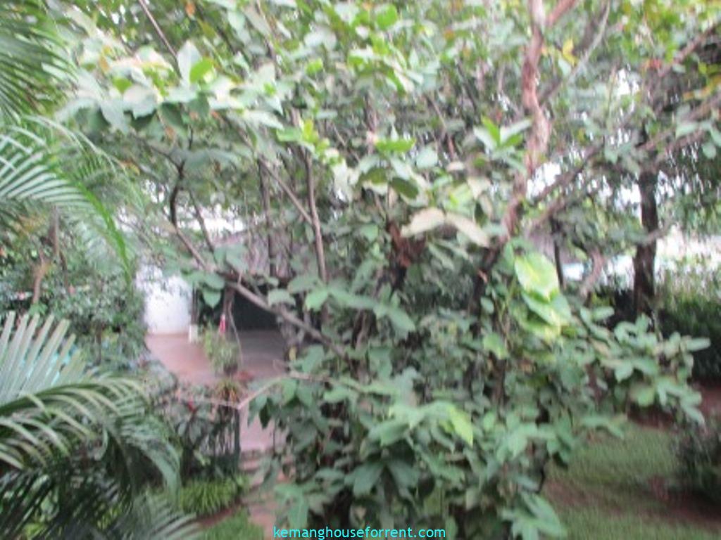 Jual Rumah Hitung Tanah di Kemang Timur Jakarta Selatan