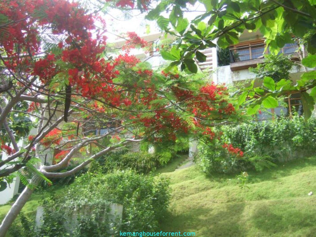 Villa for Sale in Jimbaran Bali