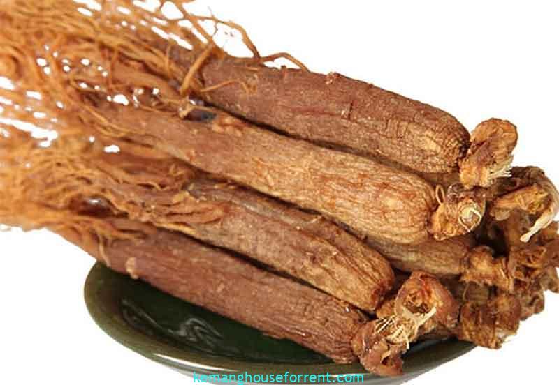 Manfaat Ginseng Merah Korea
