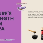 manfaat ginseng merah